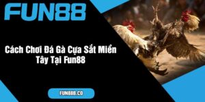 Cách Chơi Đá Gà Cựa Sắt Miền Tây Tại Fun88