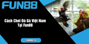 Cách Chơi Đá Gà Việt Nam Tại Fun88