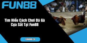 Tìm Hiểu Cách Chơi Đá Gà Cựa Sắt Tại Fun88